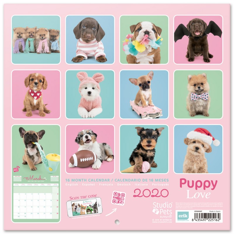 Comprar Calendario 2020 30X30 Studio Pets Puppies