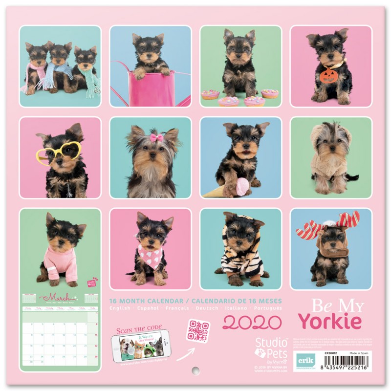 Comprar Calendario 2020 30X30 Studio Pets Yorkie Original